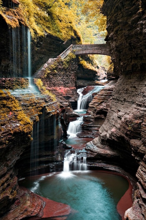 cjwho:  Watkins Glen State Park is located outside the village of Watkins Glen, New York, south of Seneca Lake in Schuyler County in the Finger Lakes region. The park’s lower part is near the village, while the upper part is open woodland. It was opened