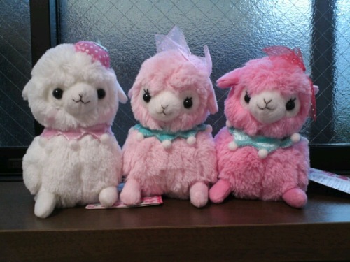 For deals & discounts just simply message me.
Strawberry Baby Alpacasso(s)
Available to purchase at KawaiiplusHLove:
http://kawaiiplushlove.storenvy.com/