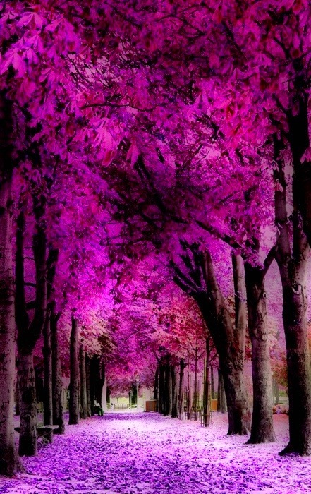omgshowmetheworld:   .   