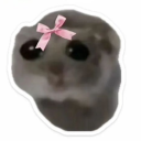 cutsi3kitti3 - chronicallycute