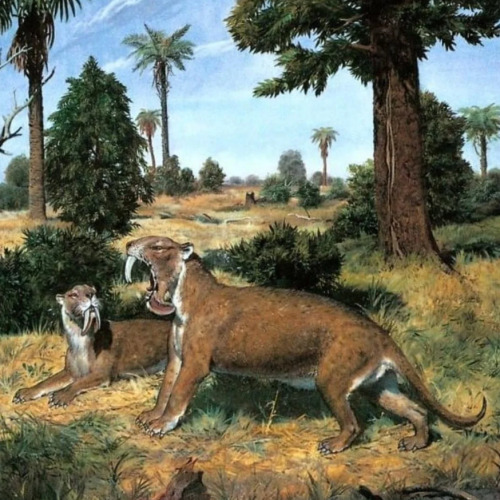 Zdenek Burian’s Cenozoic Mammals.