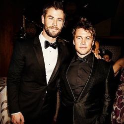 ferhemsworth2013:  #ChrisHemsworth #LukeHemsworth #GoldenGlobes