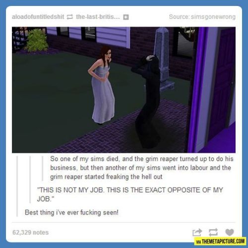 itsstuckyinmyhead:The Sims Tumblr Posts