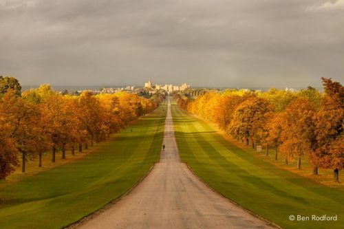 our-amazing-world:  I want to walk down Amazing World beautiful amazing