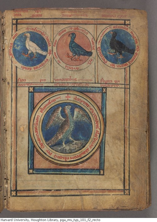 houghtonlib:Hugh, of Fouilloy, -1172 or 1173. De bestiis et aliis rebus : seu Columba deaurata : man