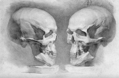 Learn How to Draw for Free.Drawing Academy is offering...