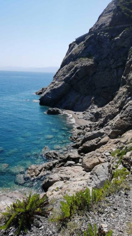 MARINA DI PATTI - foto di MarcoOggi i miei pensieri non vivono ne di amore ne di arte. Vogliono solo