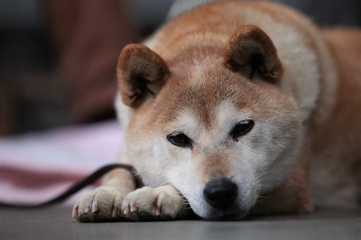 いぬやしき Explore Tumblr Posts And Blogs Tumgir いぬやしき Explore Tumblr Posts And Blogs Tumgir