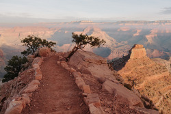 betomad: South kaibab trail (Grand Canyon)