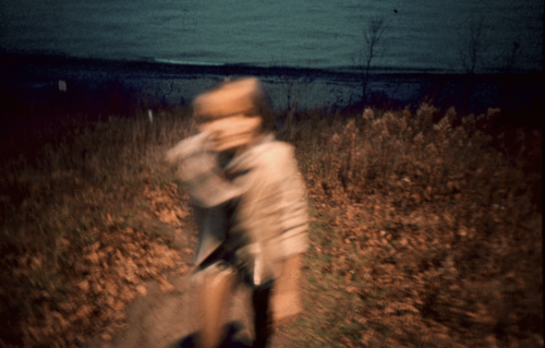 abduction:by Robert Moses
