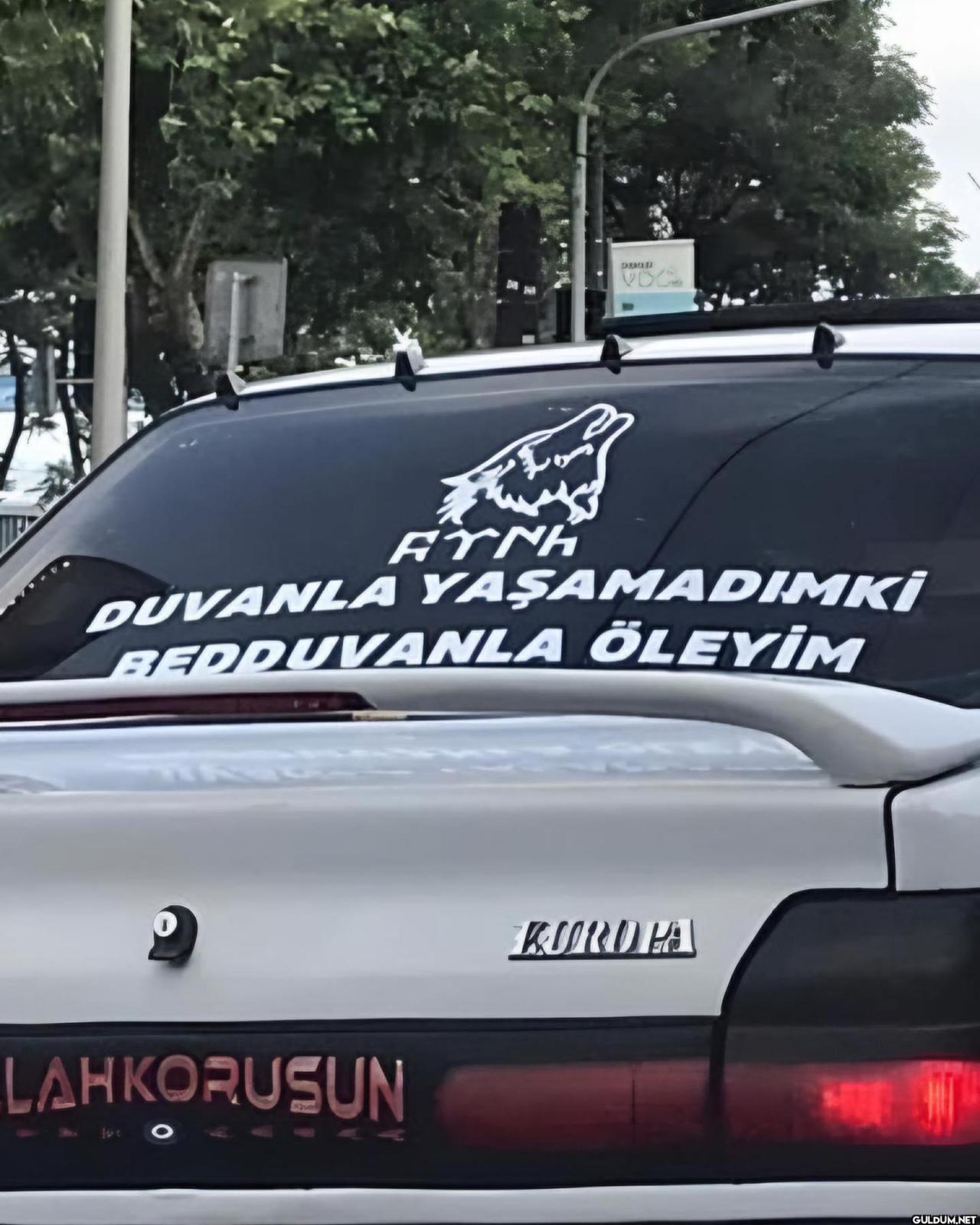 anlamsız fotoğraflar 39887...