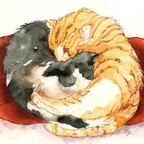 Who doesn’t love a cat nap?☺️ One of two domestic cat illustrations I have at the booth this year! S