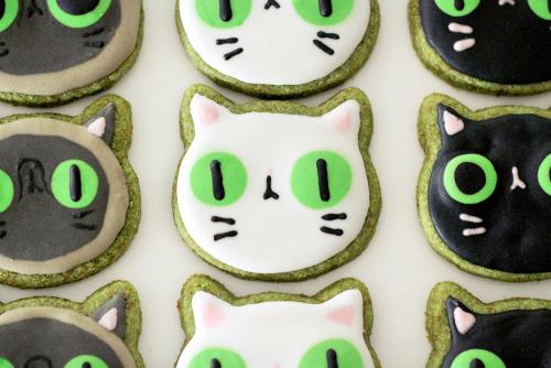 Sex joy-ang:  Made some green cat cookies for pictures