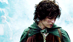 wrathandruin-blog:  lotr + looking down 