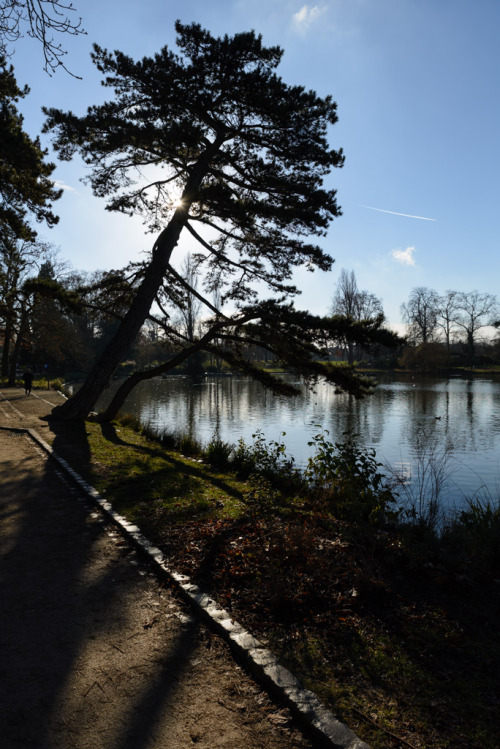 Bois de Vincennes à l’approche de l’hiver.Vincennes Park (Paris), winter is coming ;p