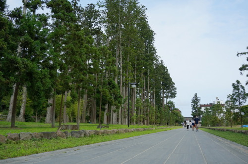 日本三景。素敵な景色とゆったりした時間に癒される。ここ数か月は資格試験の勉強などで忙しくしてました。しばらくゆっくりできそう＆好きな季節がやってきたのでまたどこか写真撮りに行きたいなーと思ってます。2