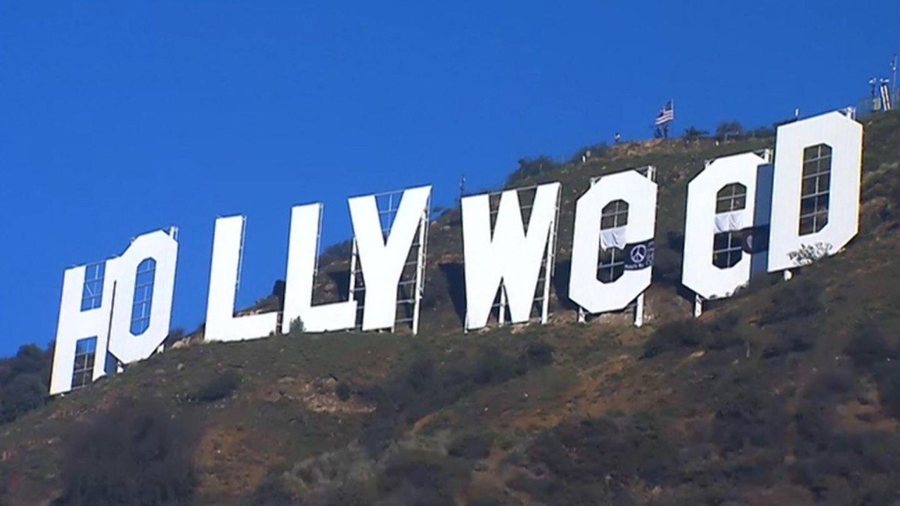 Los Angeles, you officially have my heart.