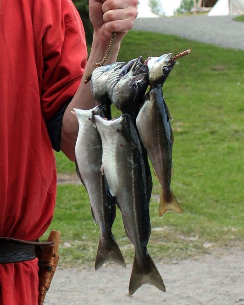 What types of food do you usually bring with you to Viking Age or Medieval festivals and markets?  W