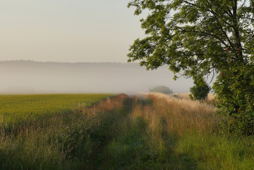 Some photos from this morning. I was just driving around on backroads in the countryside.