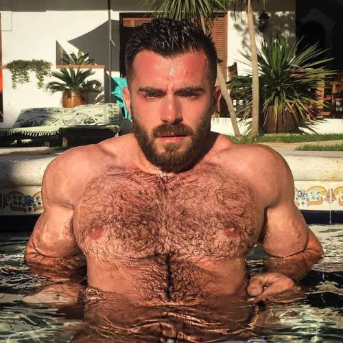 tumblr photo littleotter4hairyman 0