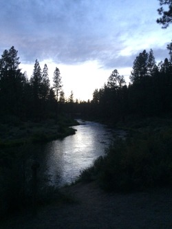 cabin-in-thewoods:I went on a little hike as the sun was going down last night.