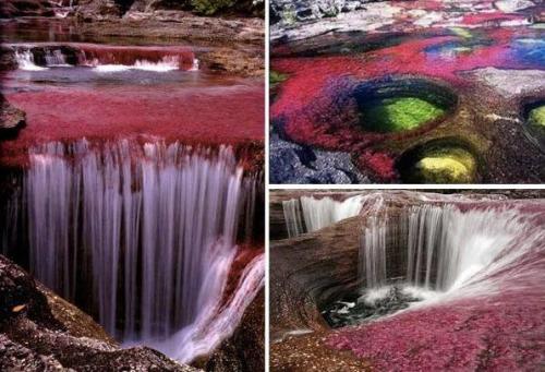 Caño Cristales, ColombiaDubbed by many &ldquo;The Most Beautiful River in the World&rdquo;, this wat
