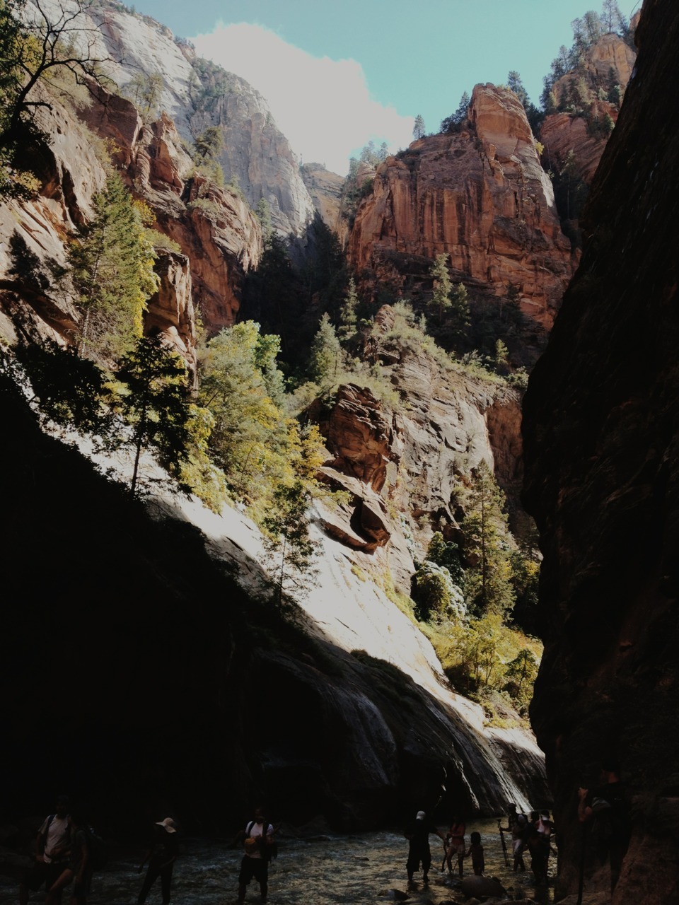 grumpygrizzlies:  Zion National Park in Utah   Been there