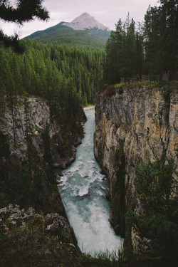 brutalgeneration:  canada #38 (by níls)