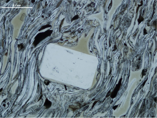 gottalottarocks: A perfectly euhedral sanidine phenocryst in the Kilgore Tuff, located in the Heise 