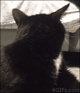 eyeb6ub9:  &ldquo;Who the fuck are you?&quot; 