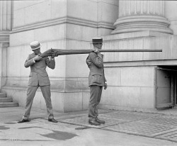 sixpenceee:  The Punt Gun could discharge over a pound of shot at a time that could kill as many as 50 birds. This depleted stocks of wild waterfowl and by the 1860s most US states had banned the practice.