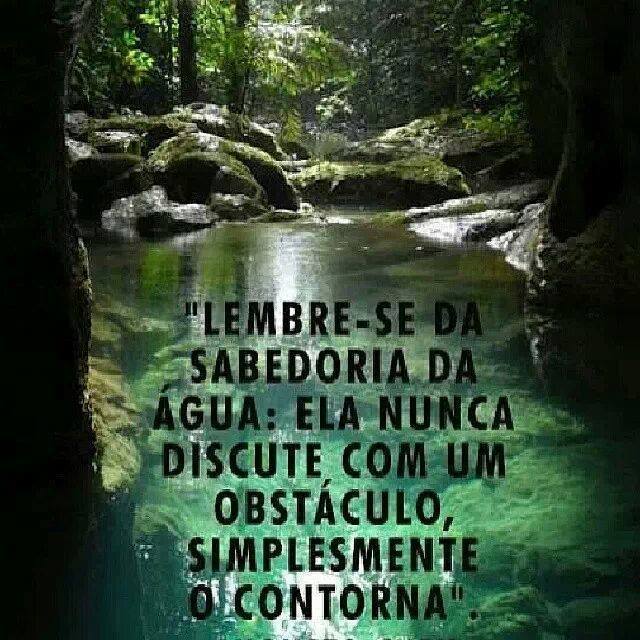 frases, poesias e afins