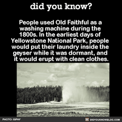 did-you-kno:  People used Old Faithful as a  washing machine during the  1800s. In the earliest days of  Yellowstone National Park, people  would put their laundry inside the  geyser while it was dormant, and  it would erupt with clean clothes.  Source