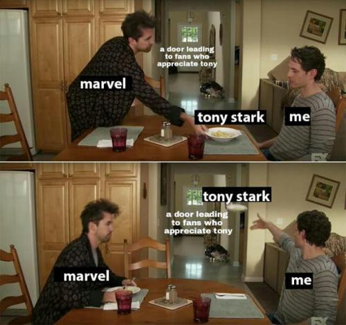 shesellsseagulls:  queenievaleriee:  a friend of mine (its.from.japaaaaaan on ig) made a bunch of edits of anti tony stark posts and edited them to be Facts  this is Peak Tony Loving culture  I am living