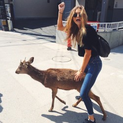 thesuncameouttoplay:  this is exactly like the running of the bulls.  Except it’s a deer.  And only one.  And in Japan.  And instead of running through the streets of Spain, he’s running through my legs..  So really it’s absolutely nothing like