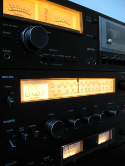 analog-dreams:  Philips X70 Black Tulip 3e