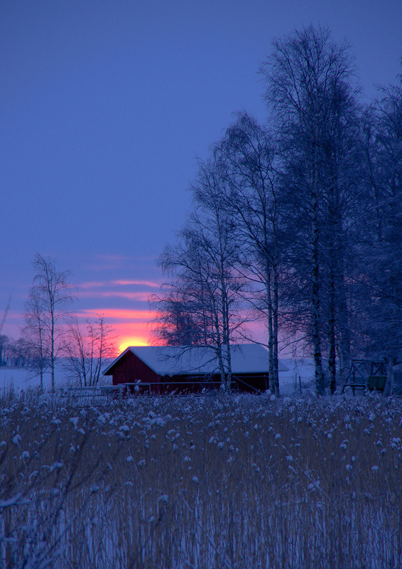 allthingsfinnish:  Winter SunsetJoensuuphoto by Pentti Rautio 