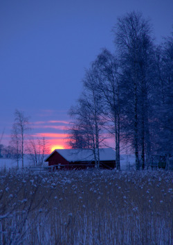 allthingsfinnish:  Winter SunsetJoensuuphoto
