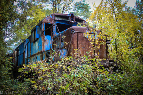 beautyofabandonedplaces:  Abandoned Train in New York [OC][os][1024 x 683] 