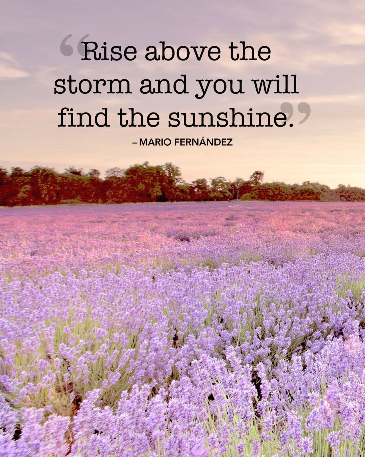 Quotes — Rise above the storm and you will find the