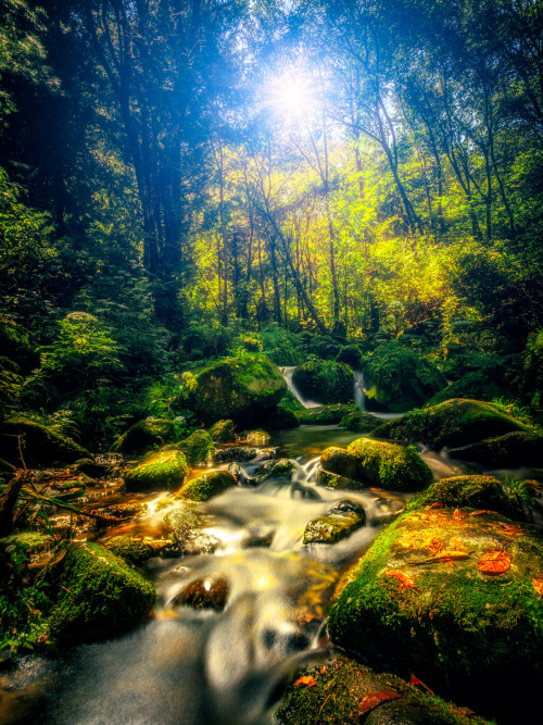 lunarblue21:Wooded valley, by ace4card

. #waterscapes#landscapes#trees#scenery#rb lunarblue21
