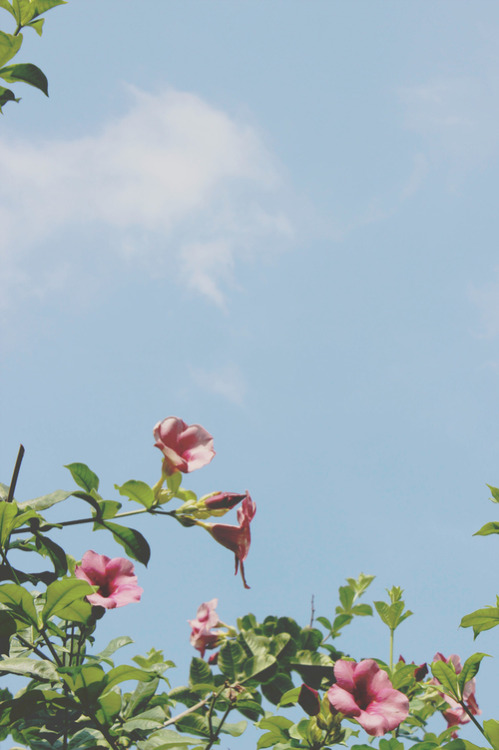 http://cnlaiyu.tumblr.com/post/83506924718