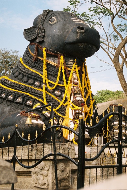 India 2013: Hindu monument 50mm, Nikon F4S, Kodak Portra 400