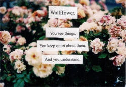 hqlines:  Wallflower. You see things. You keep quiet about them.