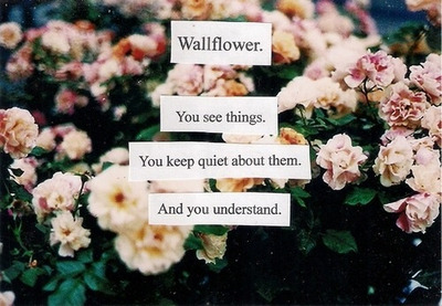 hqlines:  Wallflower. You see things. You keep quiet about them. And you understand. 