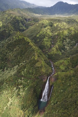 his-kinky420princess:  biisousss:Kauai, Hawaii  I wanna go☹️