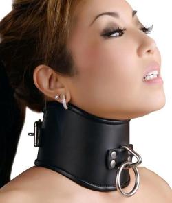 kajkelli:  gookdom:  I’d like all my stupid gook sluts to wear this!  is there such a thing as a smart gook slut?  Score: 9