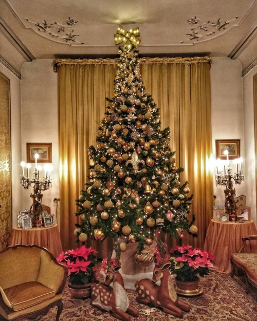Grandma’s Xmas Tree is always stunning. ❤️ #christmastree #christmas #tree #holidays #family