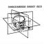 inscrutable-transient