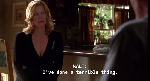 lucillesballs:if someone asks you what breaking bad is about just show them this screencap